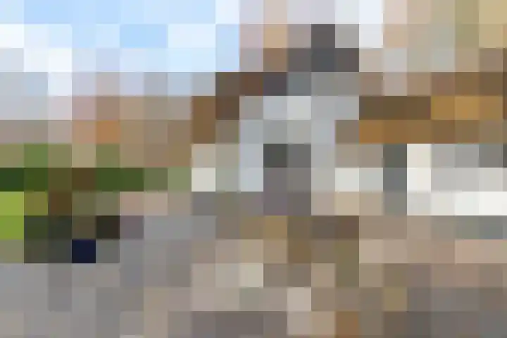 Villapark 1 Tynaarlo thumbnail 48
