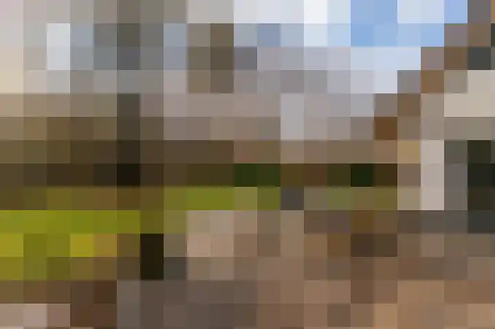 Villapark 1 Tynaarlo thumbnail 49