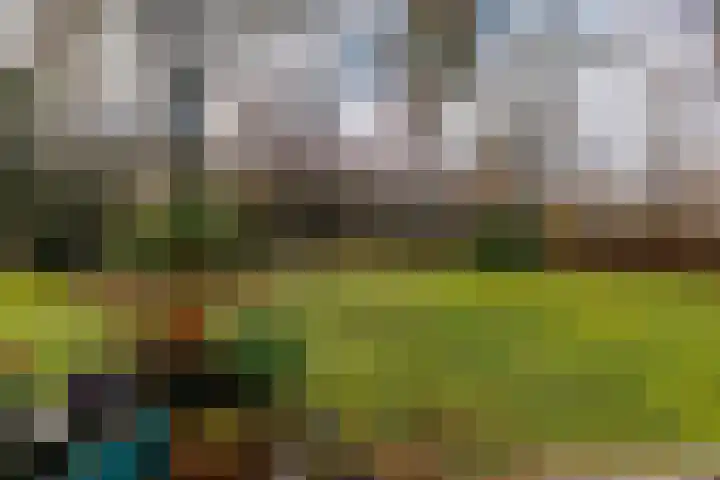 Villapark 1 Tynaarlo thumbnail 50