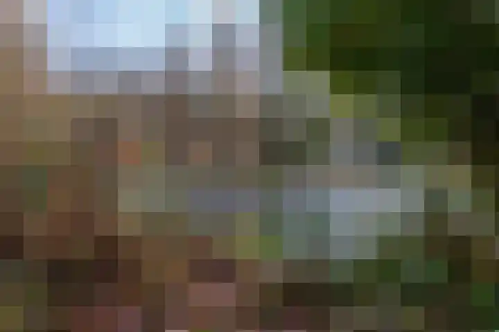 Villapark 1 Tynaarlo thumbnail 51