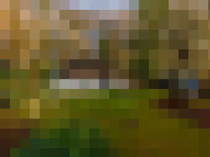 Villapark 1 Tynaarlo thumbnail 52