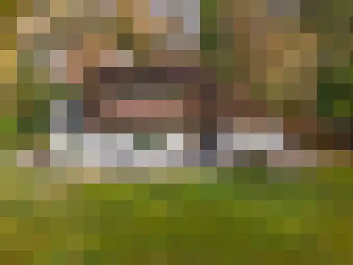 Villapark 1 Tynaarlo thumbnail 53