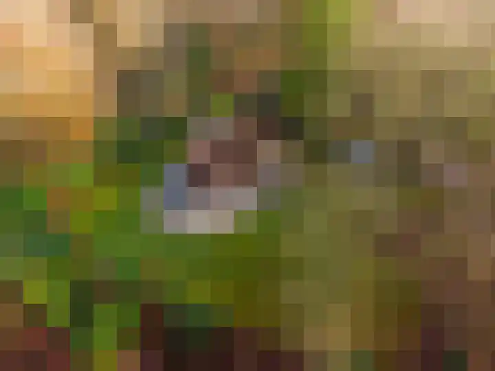 Villapark 1 Tynaarlo thumbnail 54