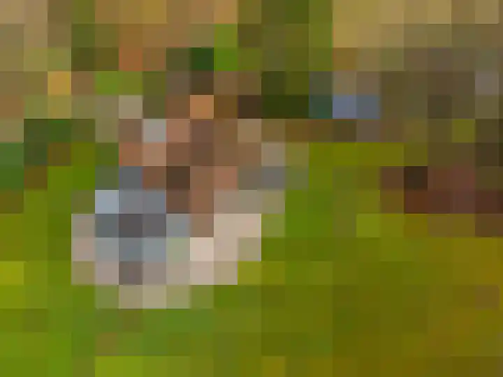 Villapark 1 Tynaarlo thumbnail 55