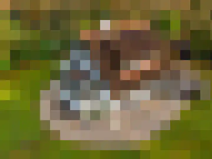 Villapark 1 Tynaarlo thumbnail 56