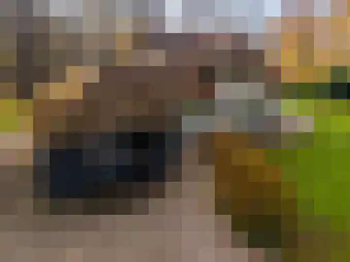 Villapark 1 Tynaarlo thumbnail 57