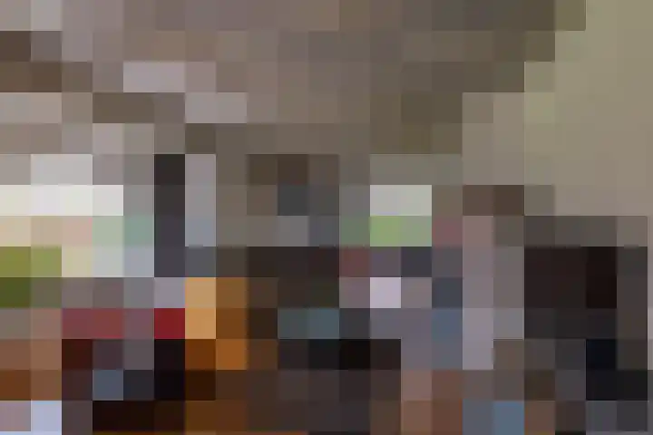 Villapark 1 Tynaarlo thumbnail 7
