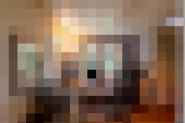 Villapark 1 Tynaarlo thumbnail 8
