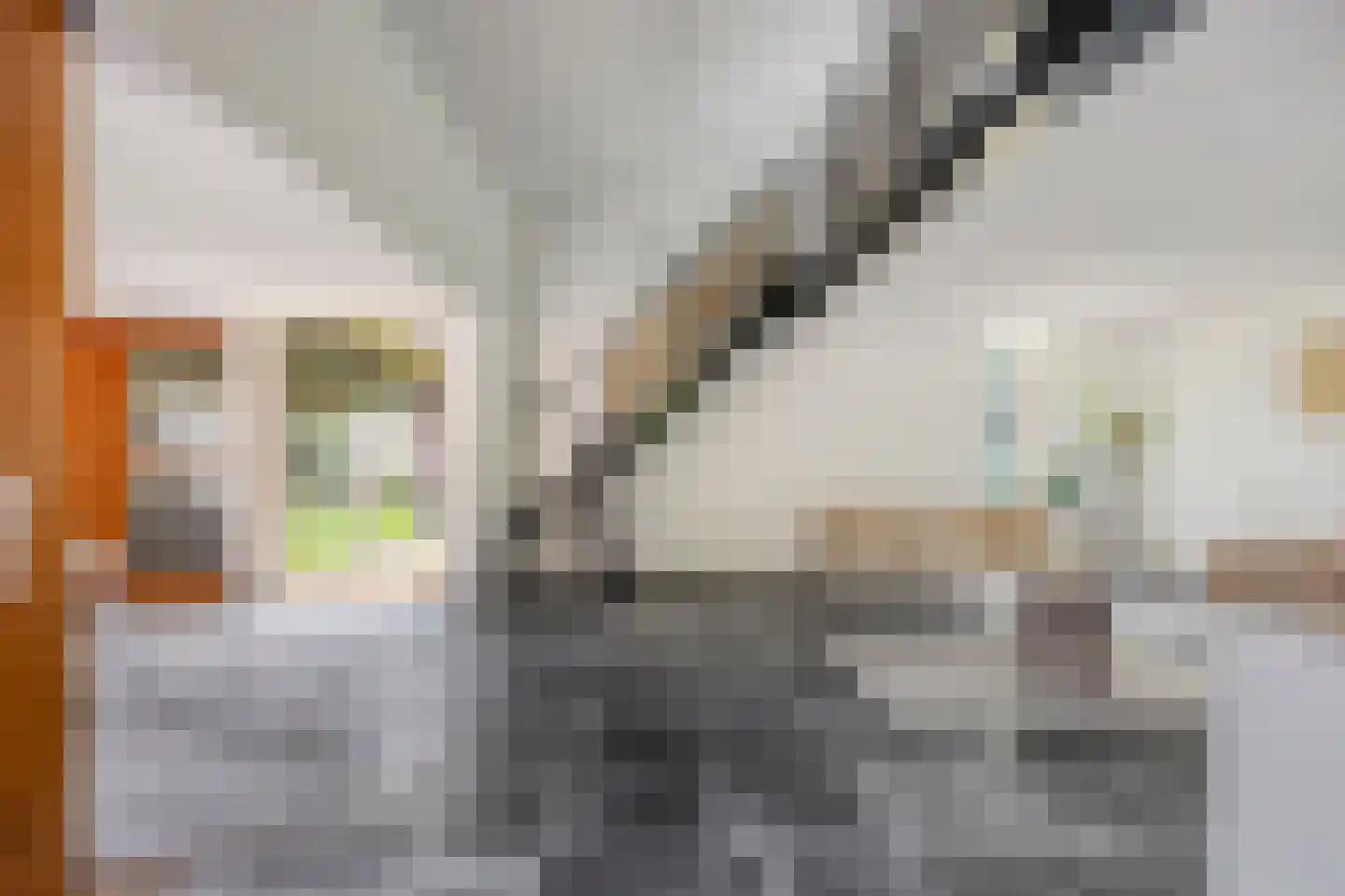 Villapark 2 Geldrop thumbnail 15