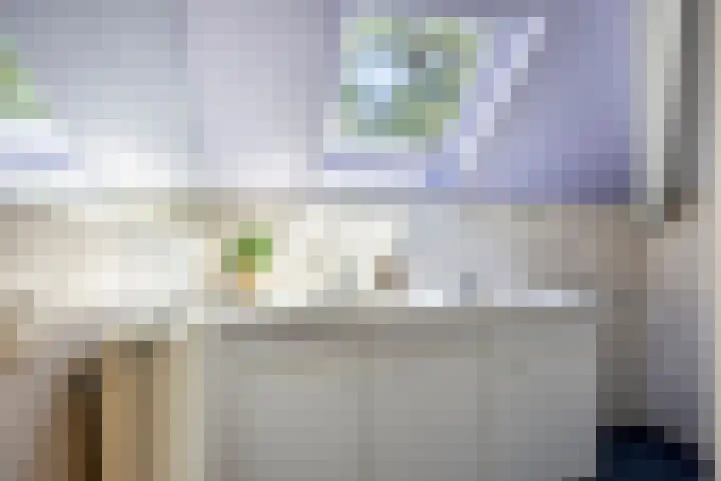 Villapark 2 Geldrop thumbnail 55