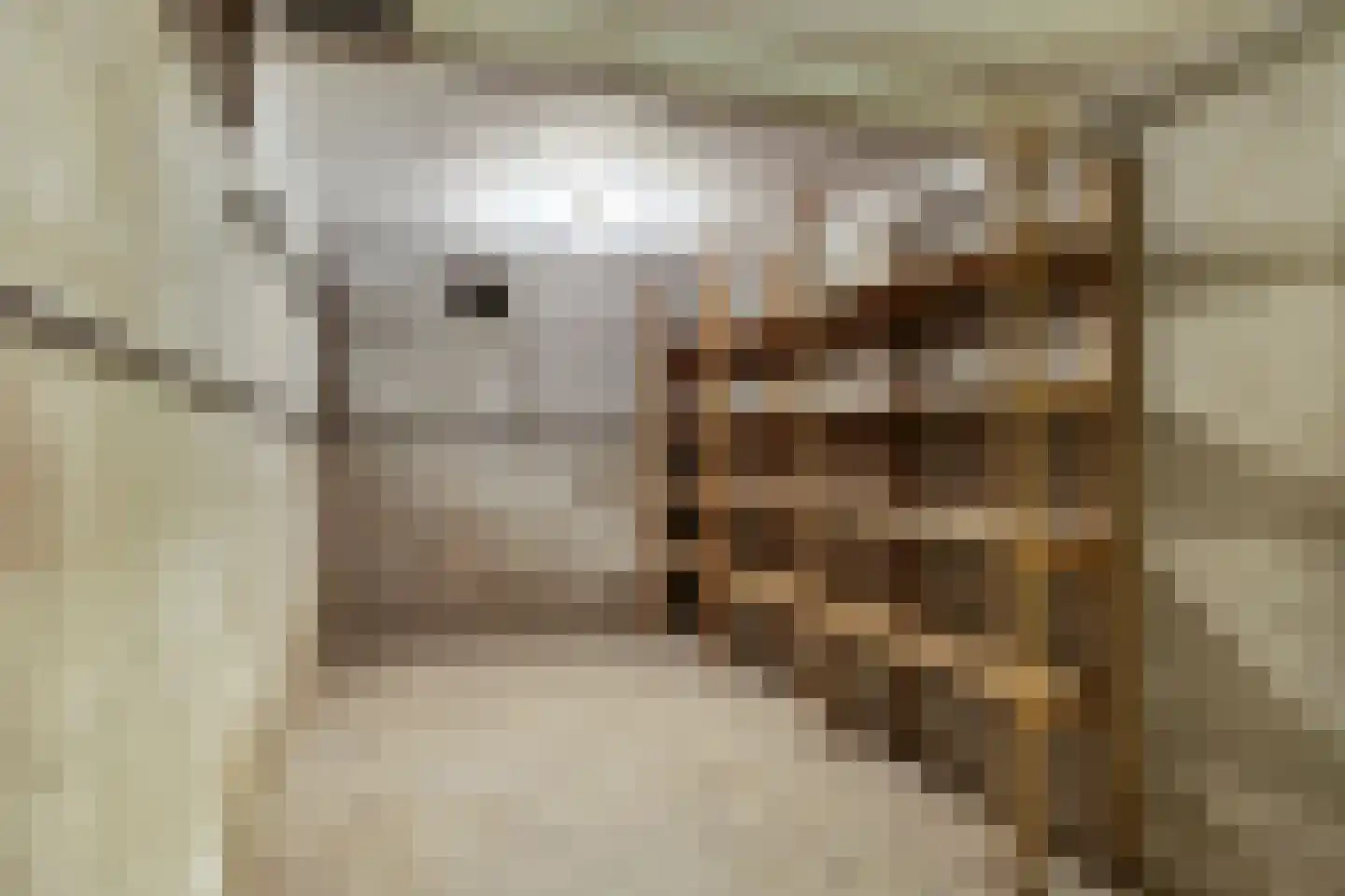 Villapark 2 Geldrop thumbnail 57