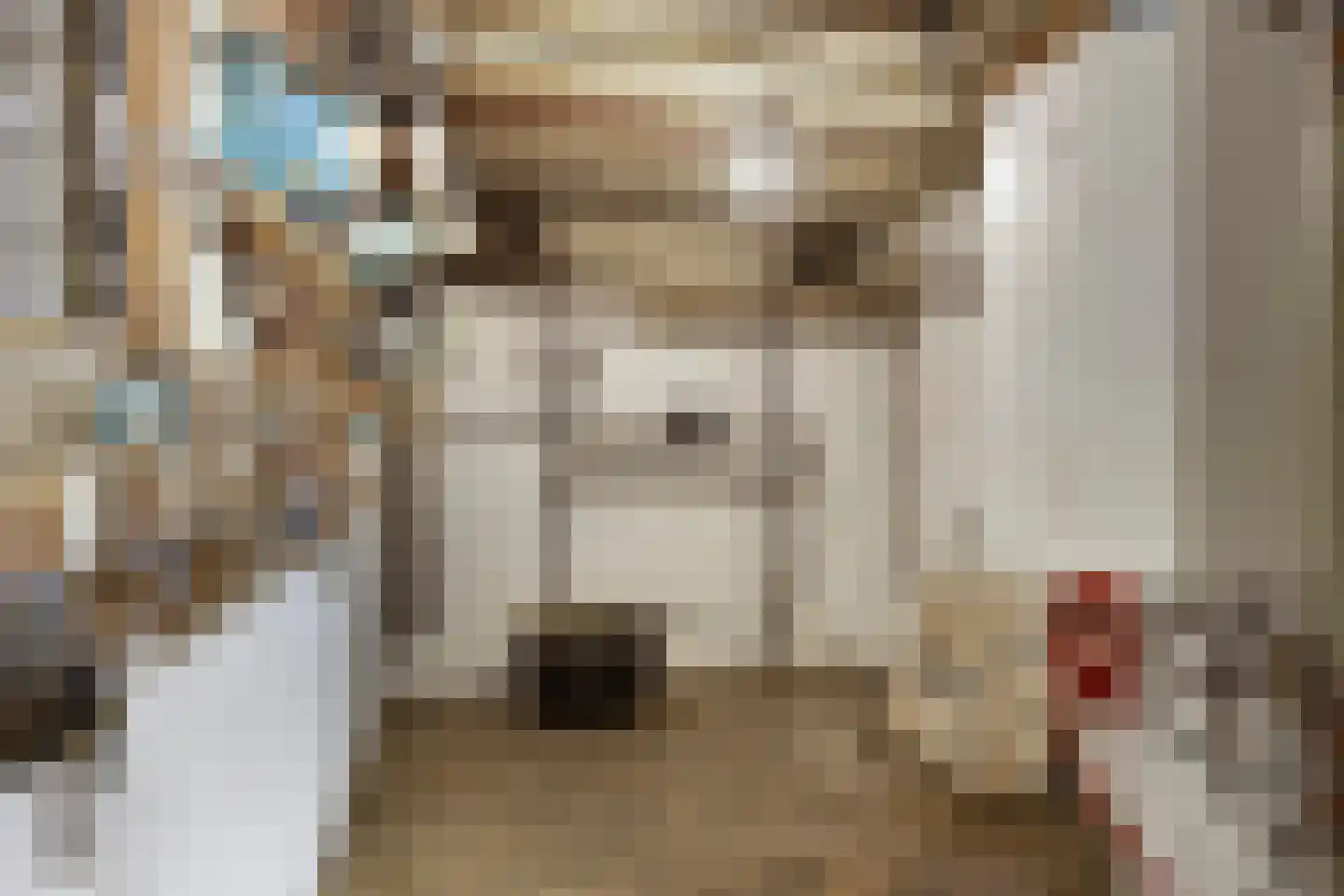 Villapark 2 Geldrop thumbnail 58