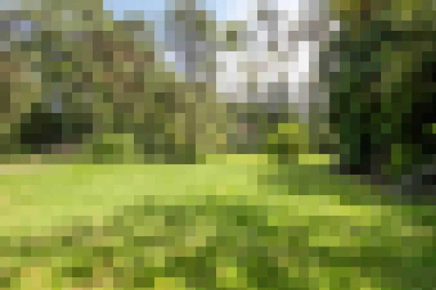 Villapark 2 Geldrop thumbnail 64
