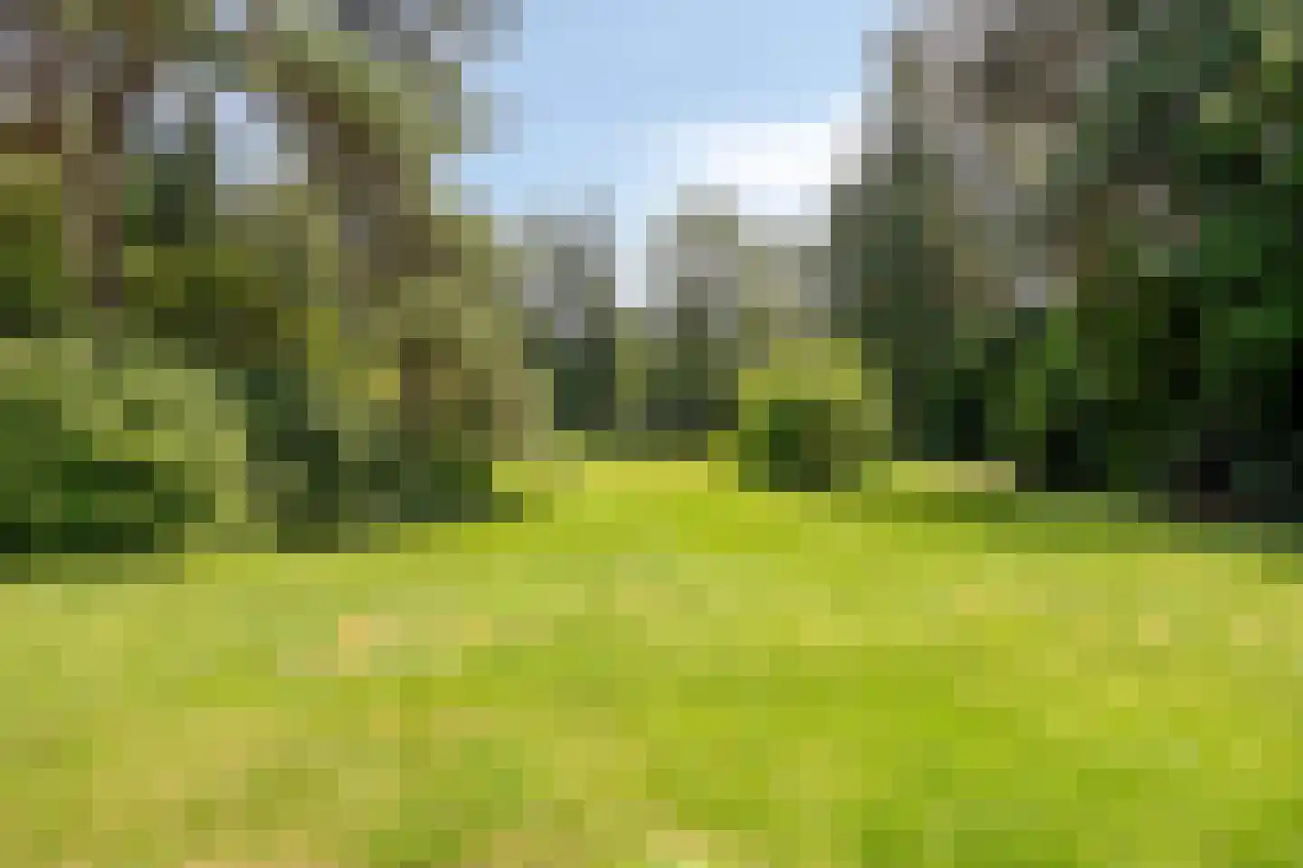 Villapark 2 Geldrop thumbnail 65