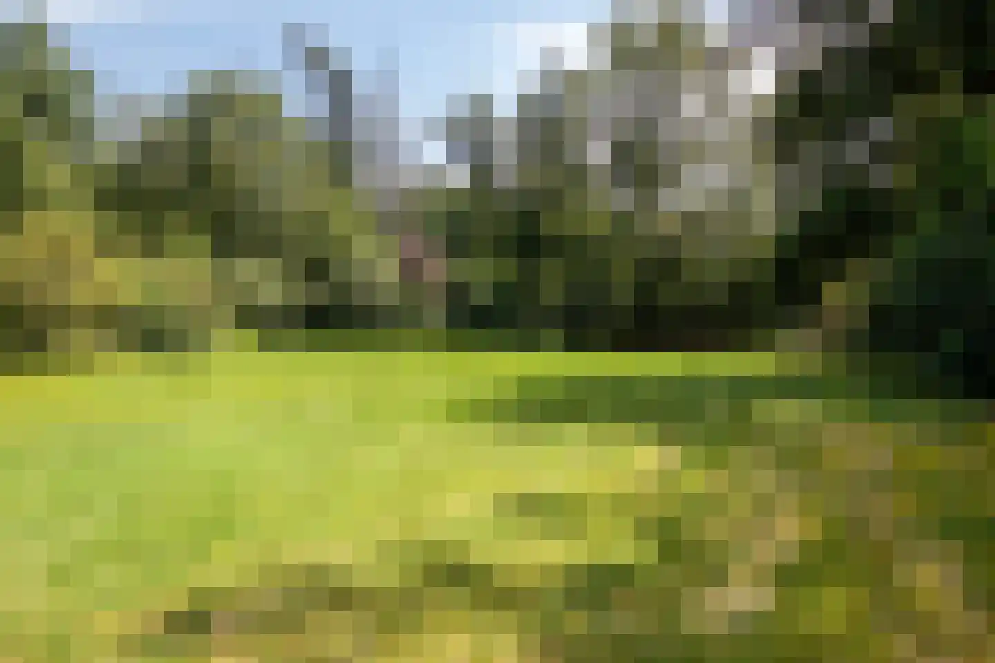 Villapark 2 Geldrop thumbnail 66
