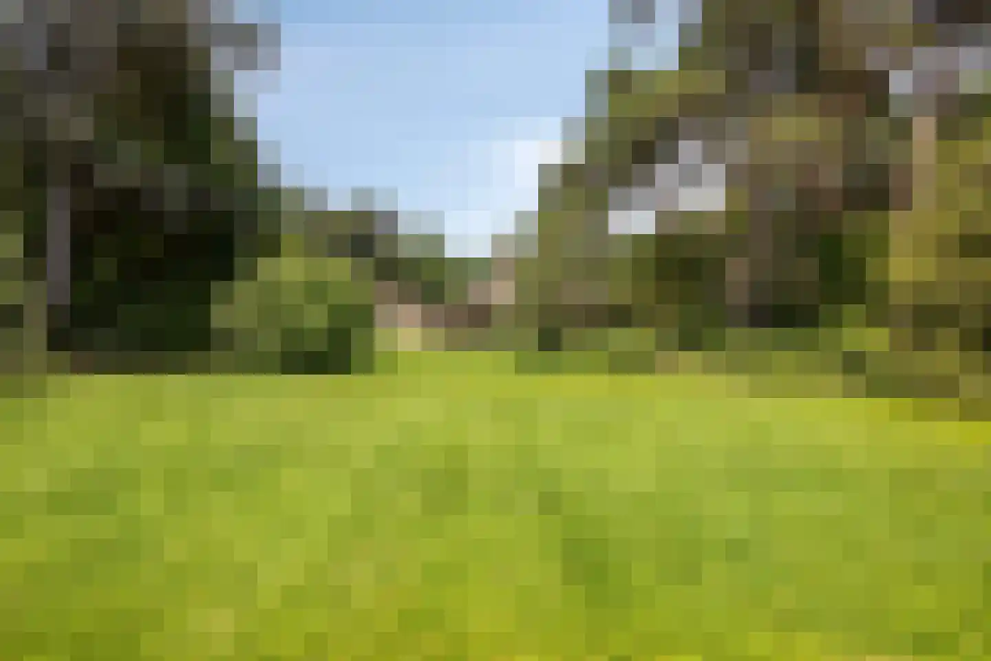 Villapark 2 Geldrop thumbnail 68