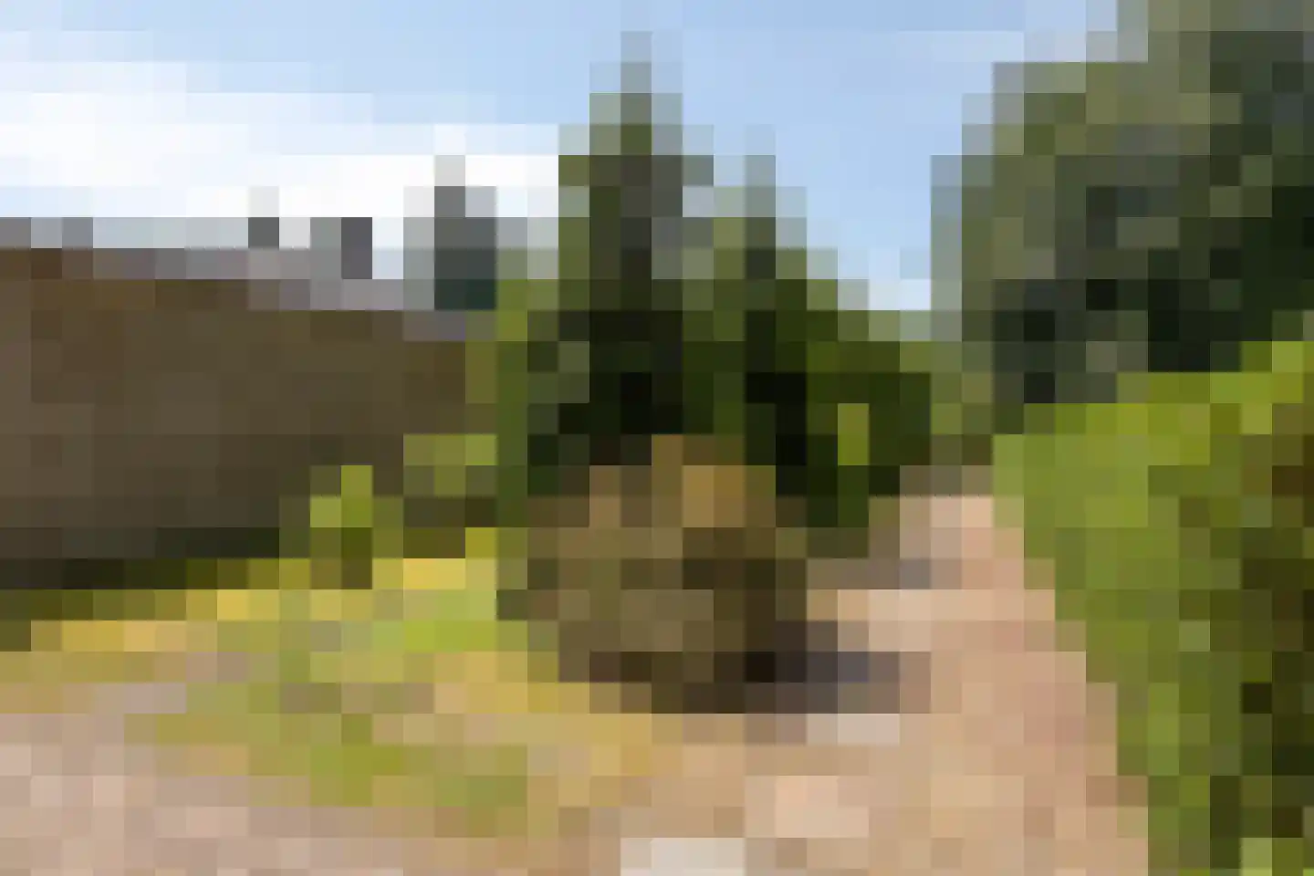 Villapark 2 Geldrop thumbnail 77