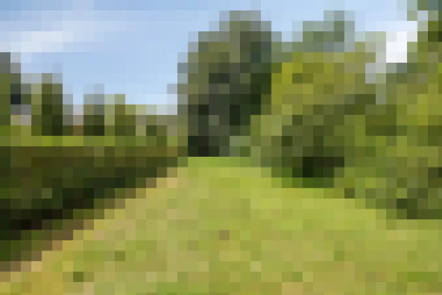 Villapark 2 Geldrop thumbnail 79