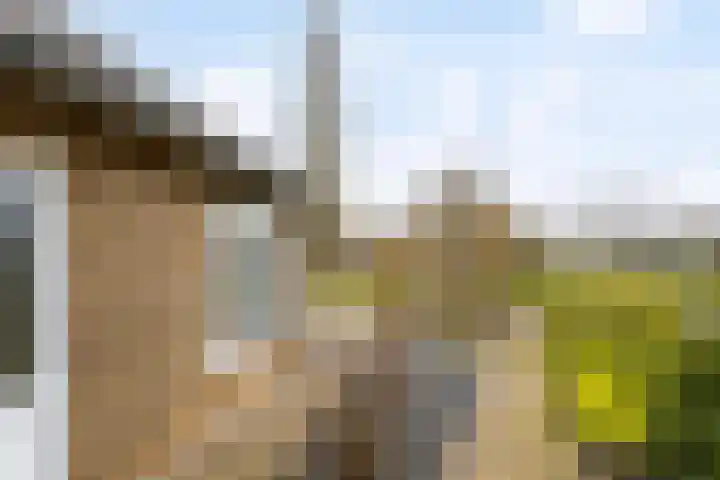 Villapark 26 Ootmarsum thumbnail 24