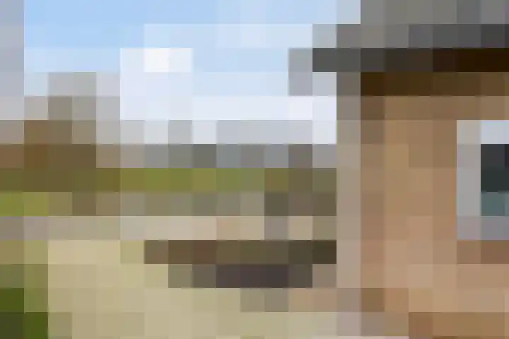 Villapark 26 Ootmarsum thumbnail 25