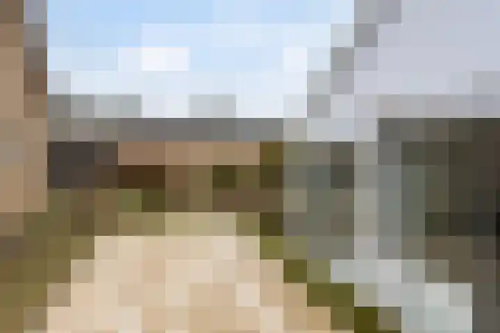 Villapark 26 Ootmarsum thumbnail 27