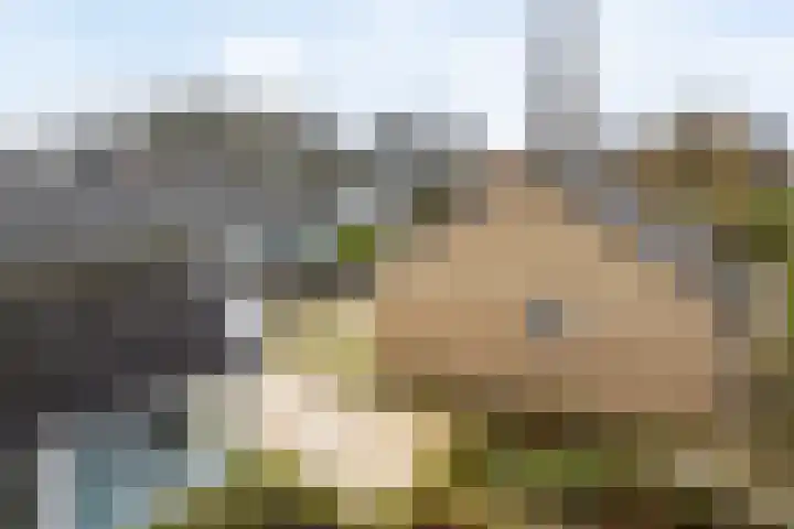 Villapark 26 Ootmarsum thumbnail 29