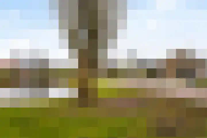 Villapark 26 Ootmarsum thumbnail 32