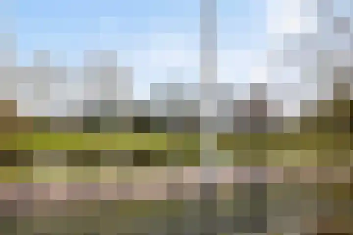 Villapark 26 Ootmarsum thumbnail 34