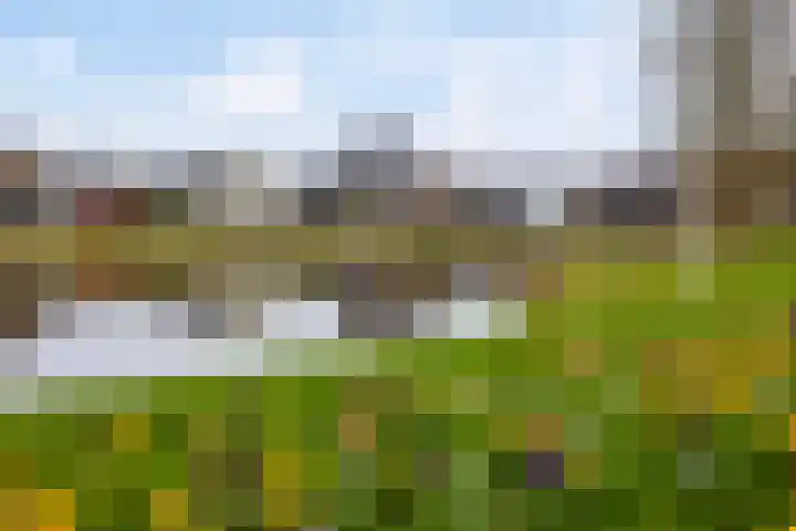 Villapark 26 Ootmarsum thumbnail 35