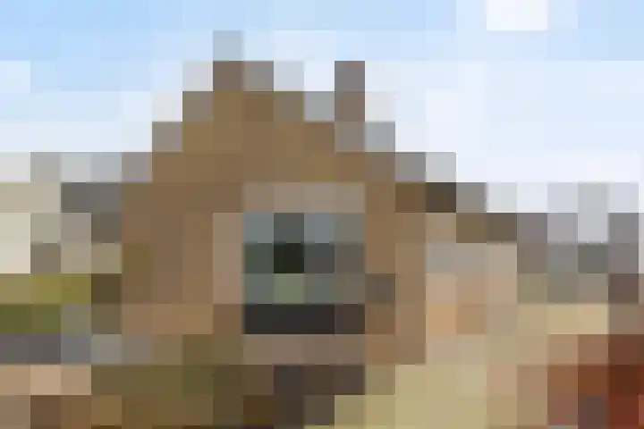 Villapark 26 Ootmarsum thumbnail 4