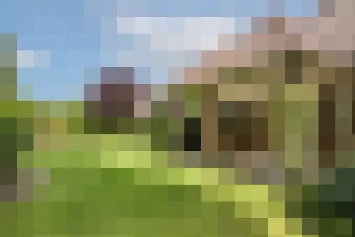 Villapark 4 Ootmarsum thumbnail 24
