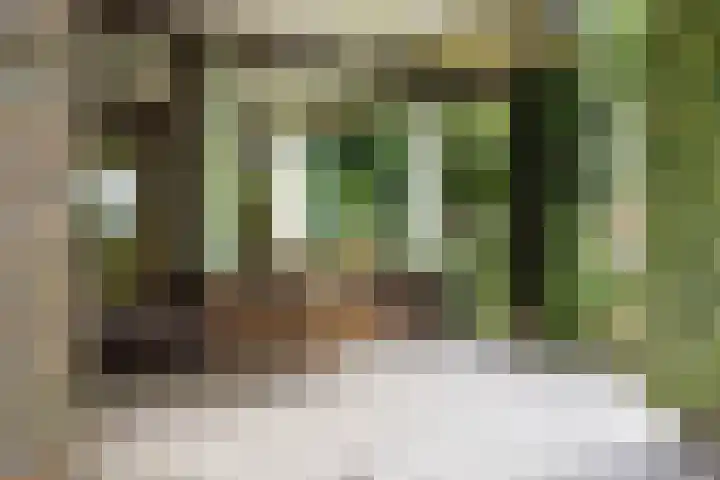 Villapark 4 Ootmarsum thumbnail 25