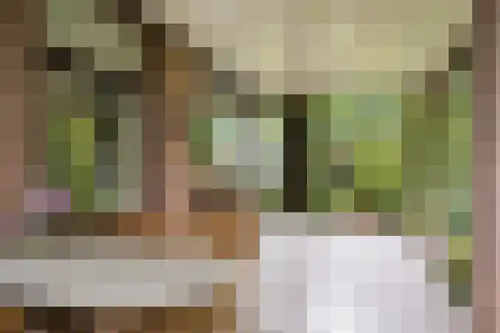 Villapark 4 Ootmarsum thumbnail 26