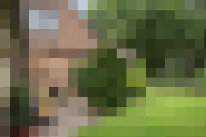 Villapark 4 Ootmarsum thumbnail 29