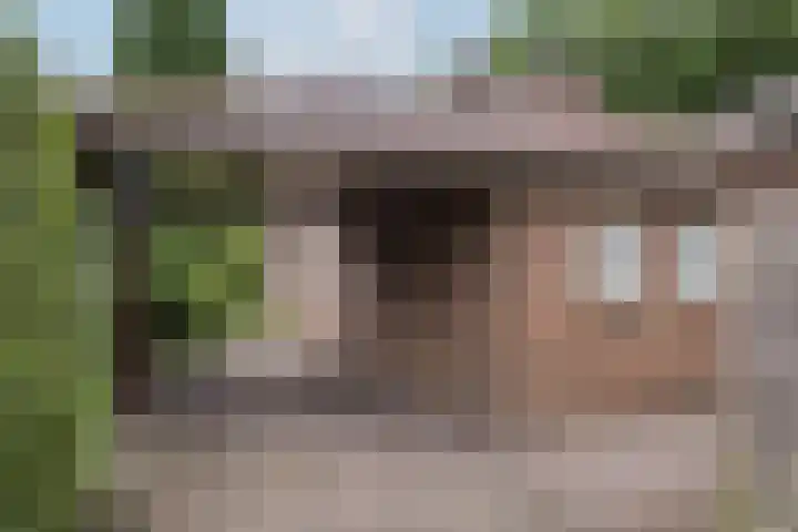 Villapark 4 Ootmarsum thumbnail 30