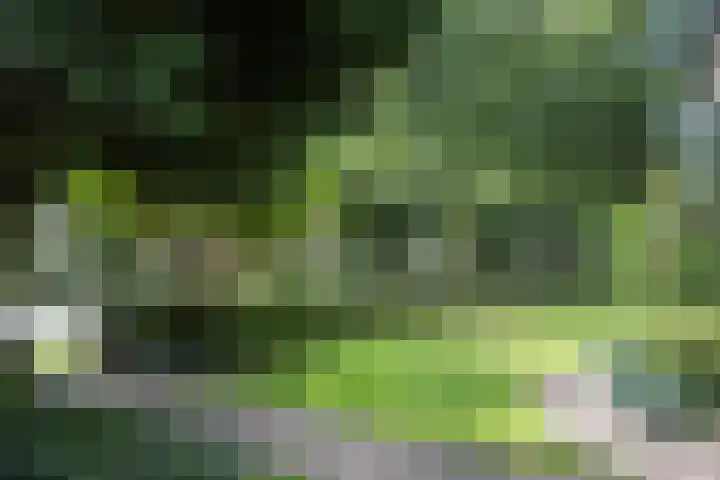 Villapark 4 Ootmarsum thumbnail 32