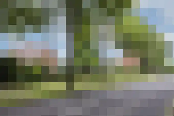 Villapark 4 Ootmarsum thumbnail 33