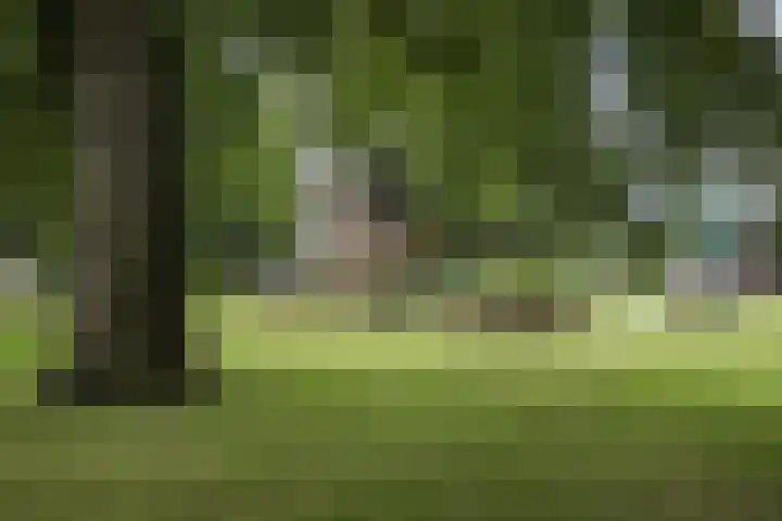 Villapark 4 Ootmarsum thumbnail 34