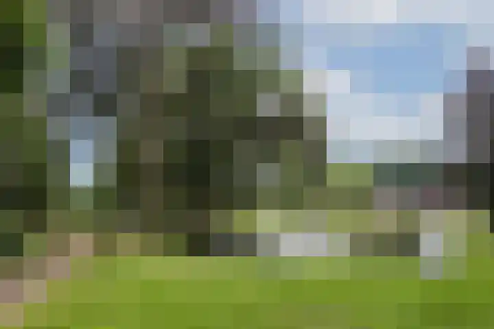 Villapark 4 Ootmarsum thumbnail 35