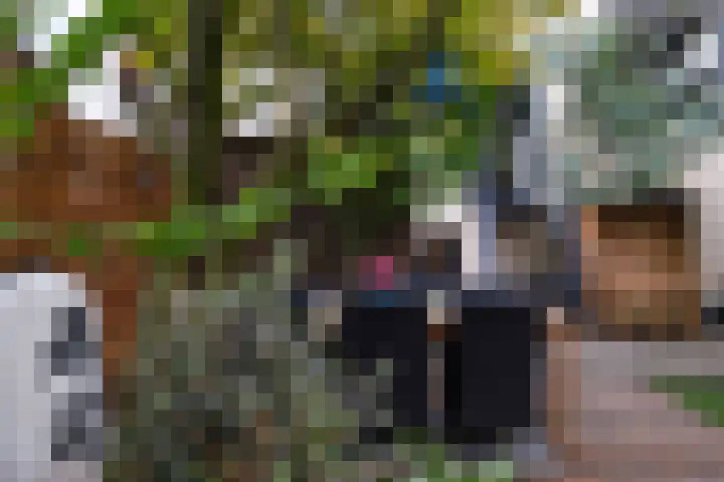 Villapark 5 Rotterdam thumbnail 28