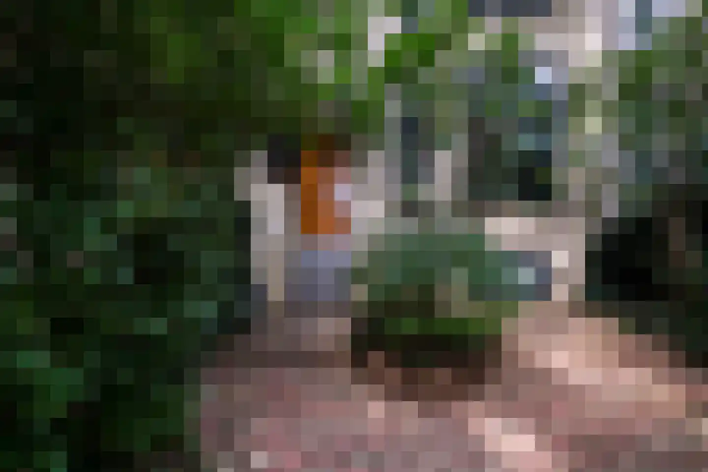 Villapark 5 Rotterdam thumbnail 52