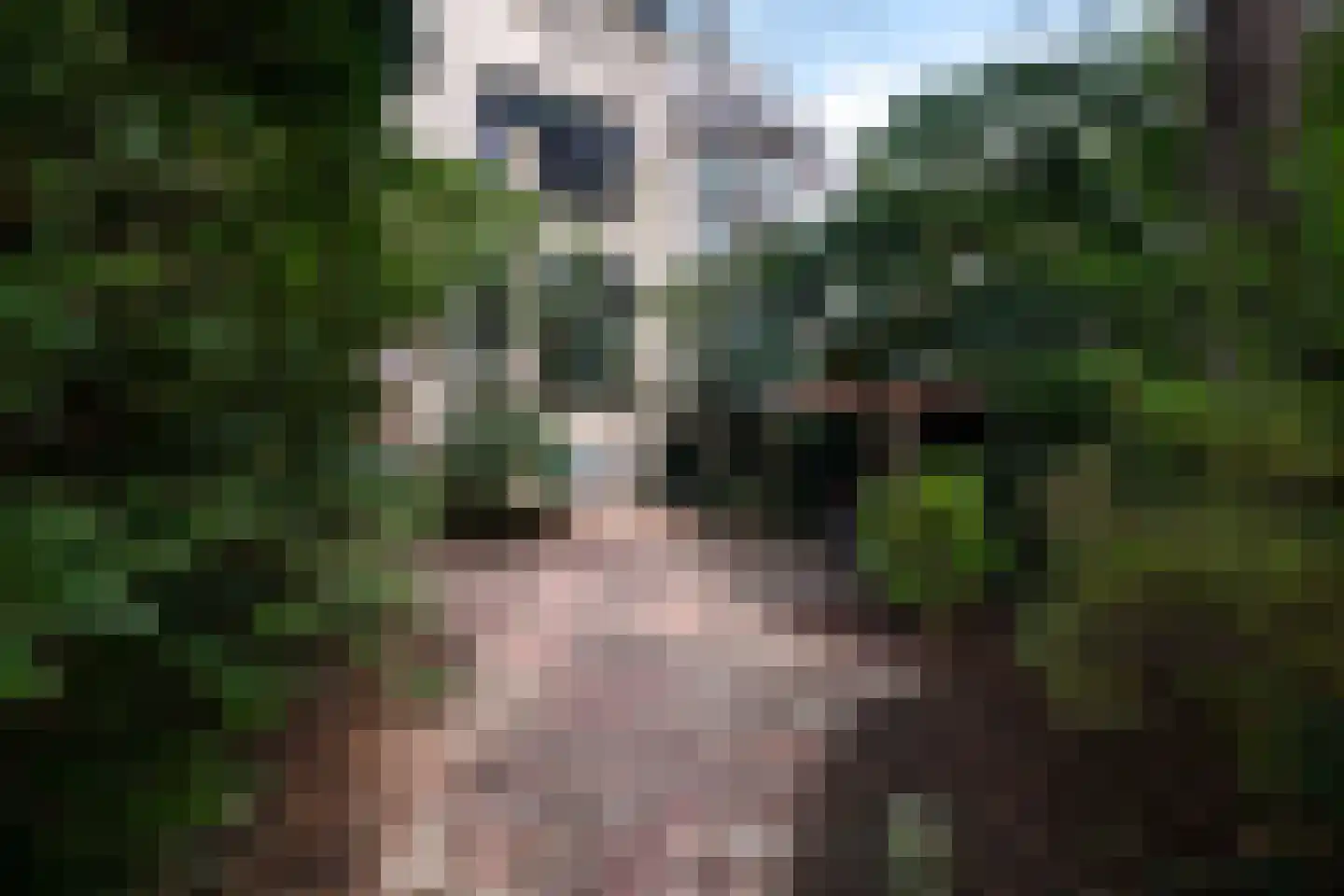Villapark 5 Rotterdam thumbnail 53