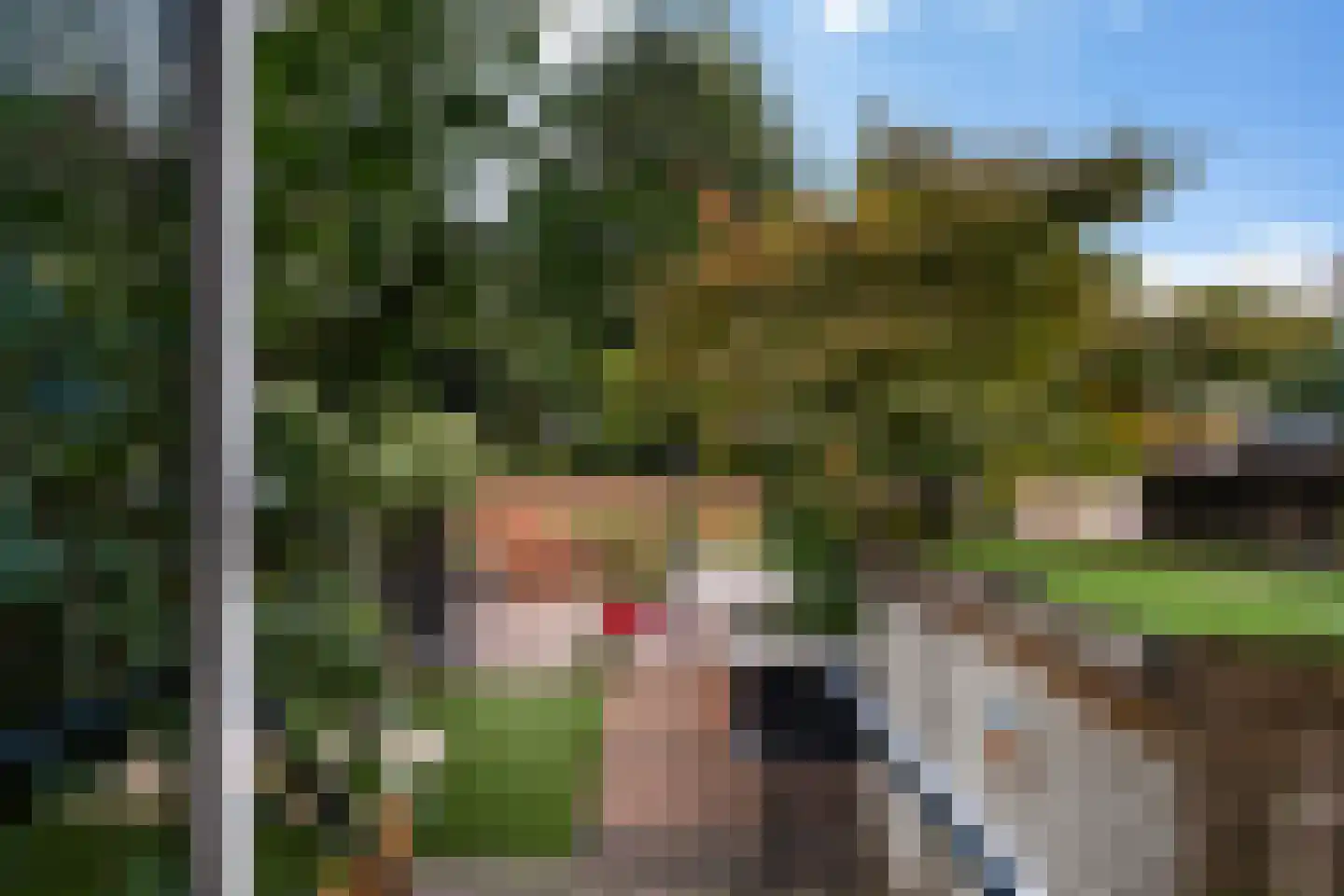 Villapark 5 Rotterdam thumbnail 8