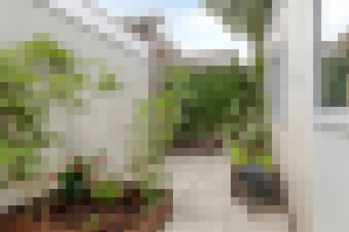 Villastraat 3 Schiedam thumbnail 18