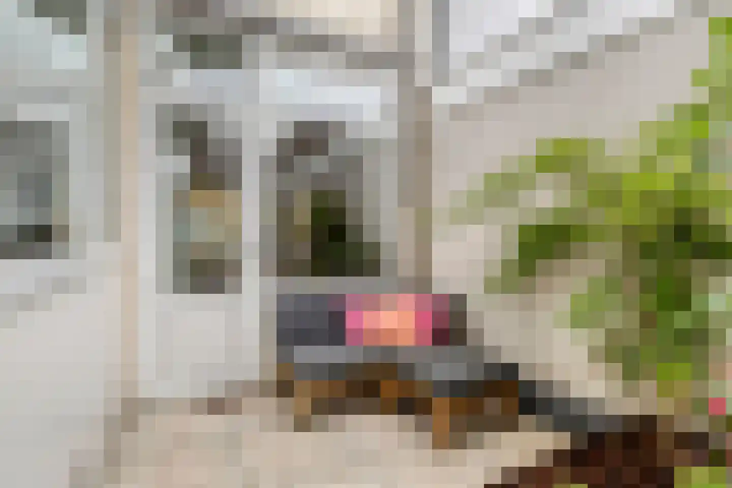 Villastraat 3 Schiedam thumbnail 19