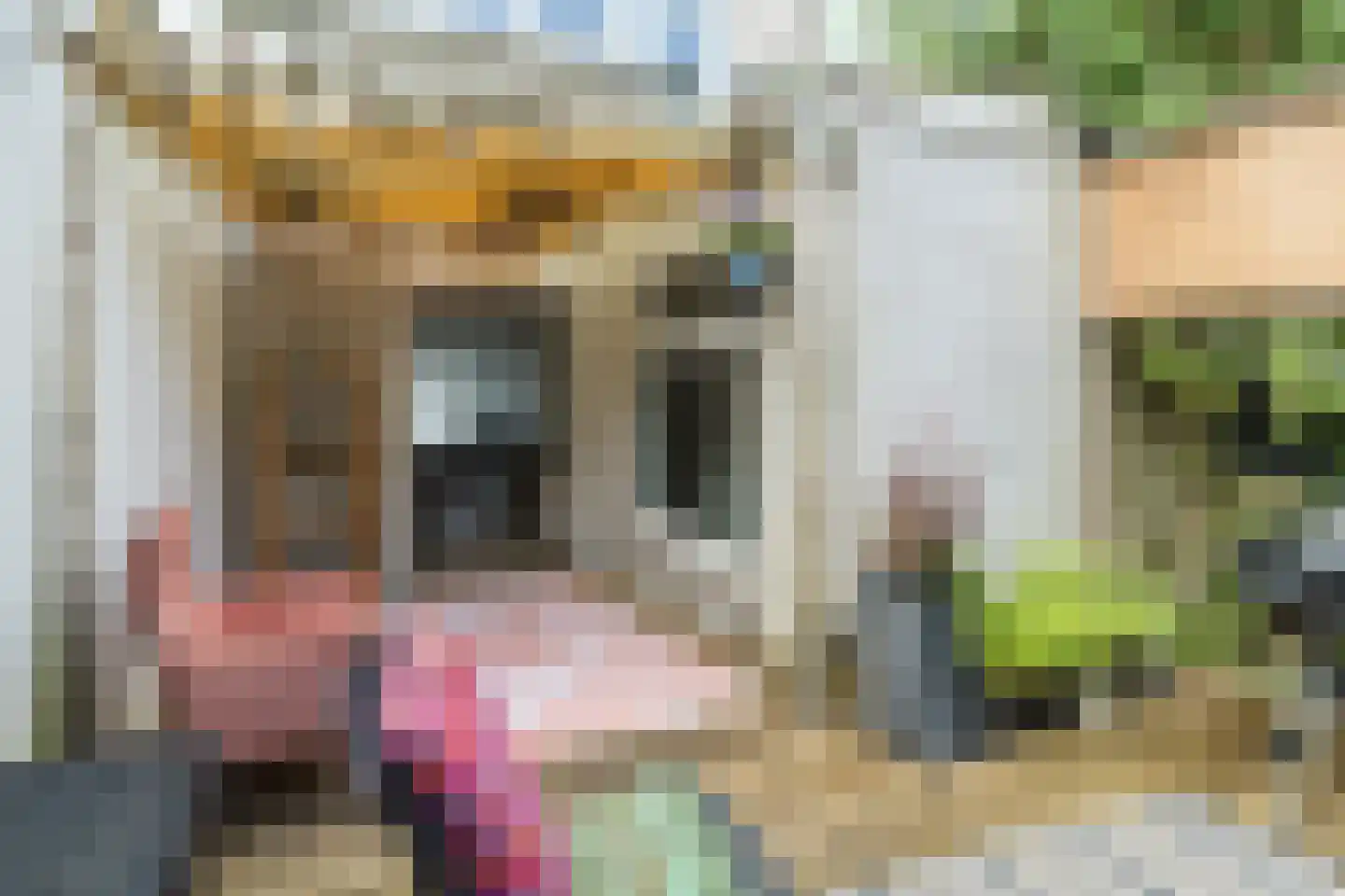 Villastraat 87 Schiedam thumbnail 29