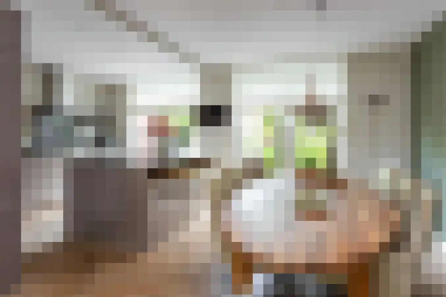 Villatuinlaan 21 Vleuten thumbnail 12
