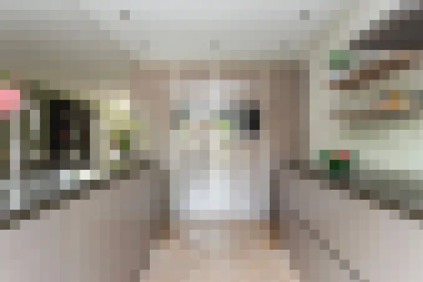 Villatuinlaan 21 Vleuten thumbnail 15