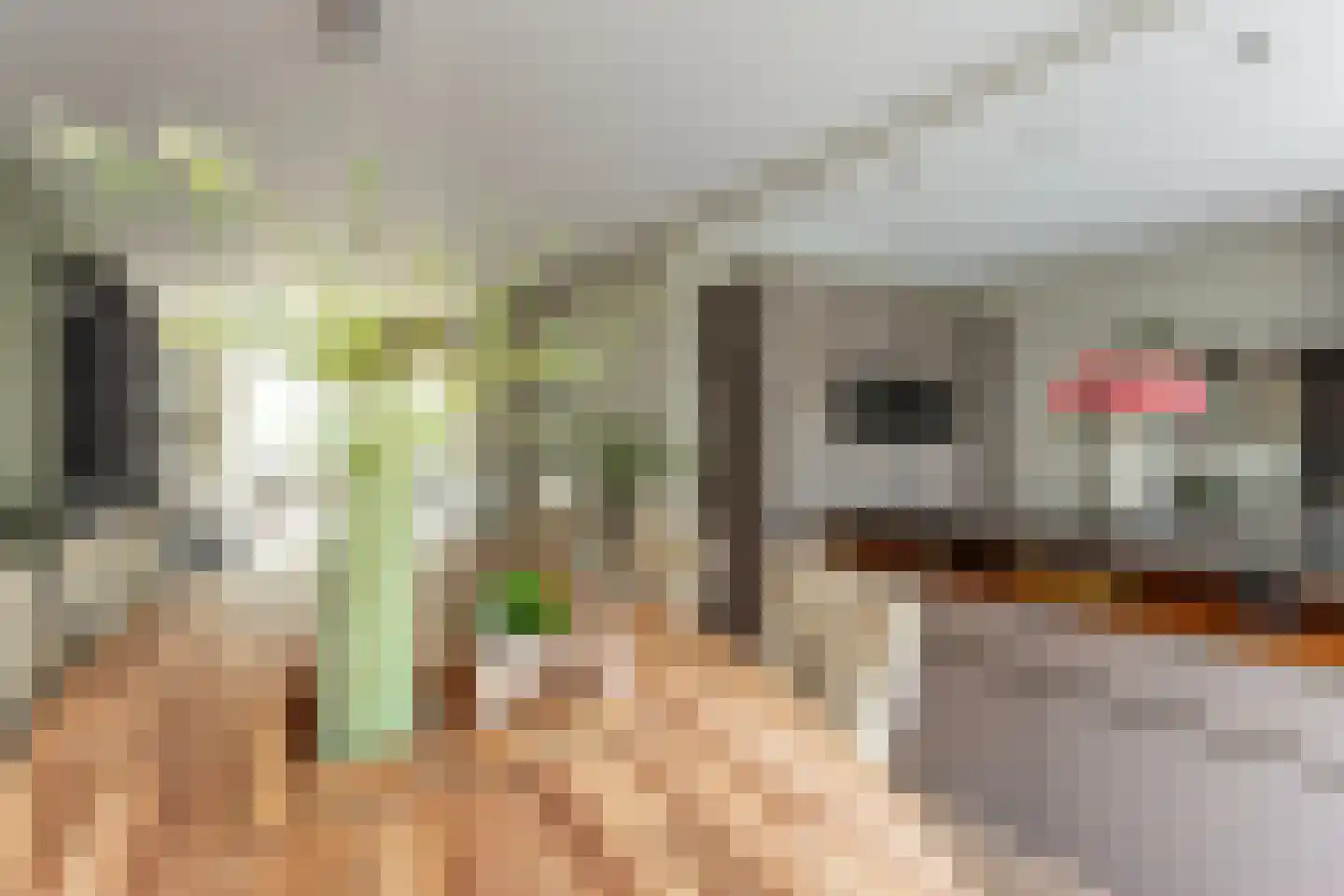 Villatuinlaan 21 Vleuten thumbnail 18