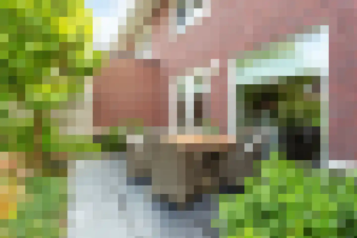 Villatuinlaan 21 Vleuten thumbnail 20
